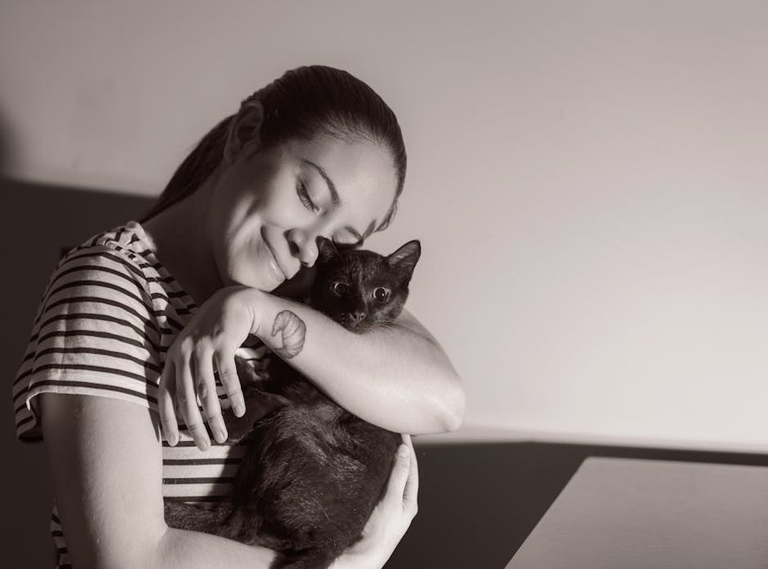 tatuajes de gatos fallecidos