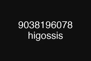 9038196078 higossis