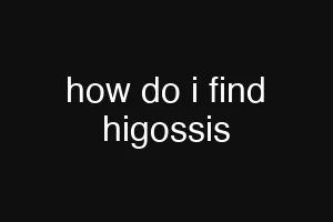 how do i find higossis