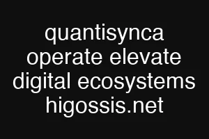 quantisynca operate elevate digital ecosystems higossis.net